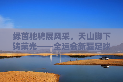 绿茵驰骋展风采,天山脚下铸荣光——全运会新疆足球比赛侧记