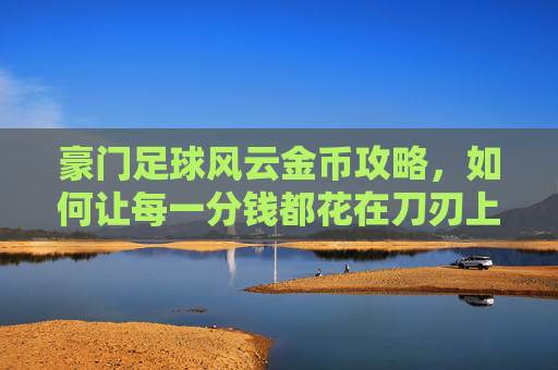 豪门足球风云金币攻略，如何让每一分钱都花在刀刃上，打造最强豪门？