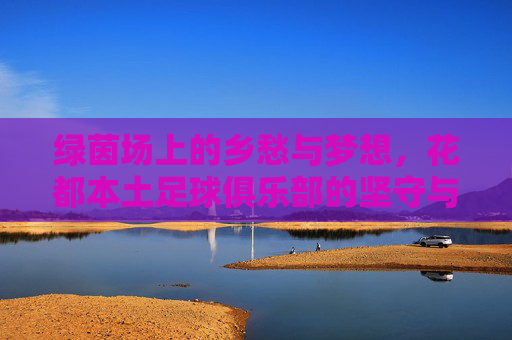绿茵场上的乡愁与梦想,花都本土足球俱乐部的坚守与荣光