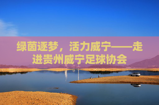 绿茵逐梦，活力威宁——走进贵州威宁足球协会