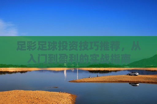 足彩足球投资技巧推荐，从入门到盈利的实战指南