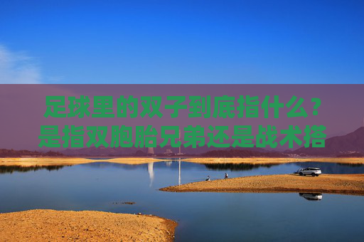 足球里的双子到底指什么？是指双胞胎兄弟还是战术搭档？