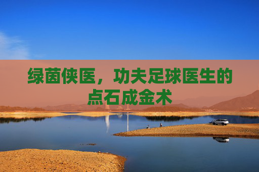 绿茵侠医，功夫足球医生的点石成金术