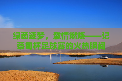 绿茵逐梦,激情燃烧——记蔡甸杯足球赛的火热瞬间