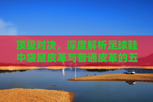 顶级对决,深度解析足球鞋中袋鼠皮革与普通皮革的五大核心区别