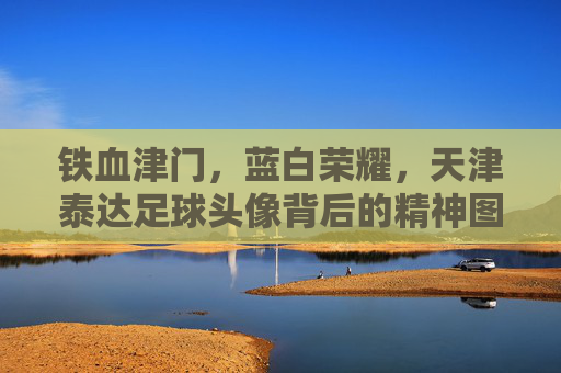 铁血津门，蓝白荣耀，天津泰达足球头像背后的精神图腾