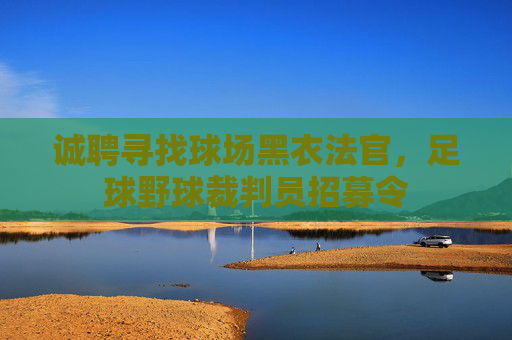 诚聘寻找球场黑衣法官，足球野球裁判员招募令