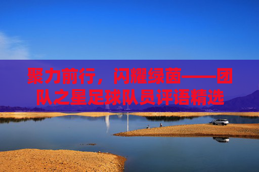 聚力前行，闪耀绿茵——团队之星足球队员评语精选
