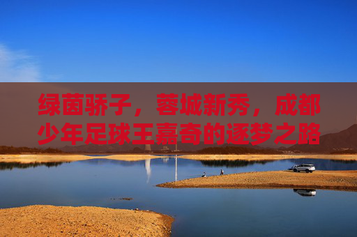 绿茵骄子,蓉城新秀,成都少年足球王嘉奇的逐梦之路