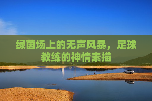 绿茵场上的无声风暴，足球教练的神情素描
