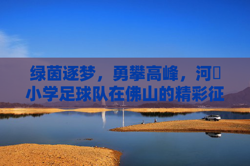 绿茵逐梦，勇攀高峰，河滘小学足球队在佛山的精彩征途