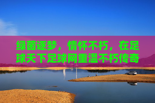 绿茵逐梦，情怀不朽，在足球天下足球网重温不朽传奇