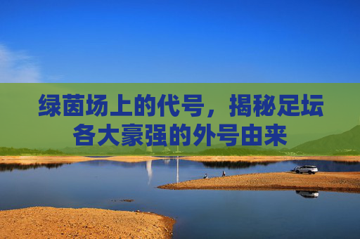 绿茵场上的代号，揭秘足坛各大豪强的外号由来