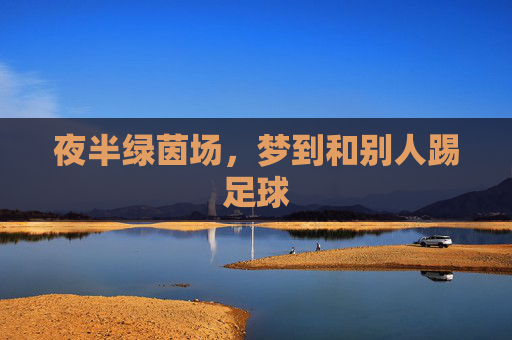 夜半绿茵场，梦到和别人踢足球