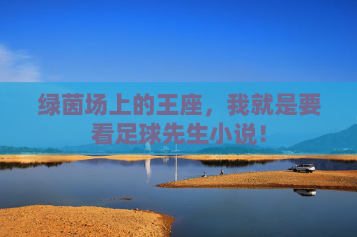 绿茵场上的王座，我就是要看足球先生小说！