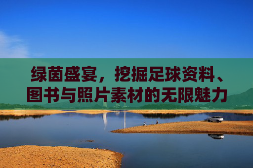 绿茵盛宴，挖掘足球资料、图书与照片素材的无限魅力