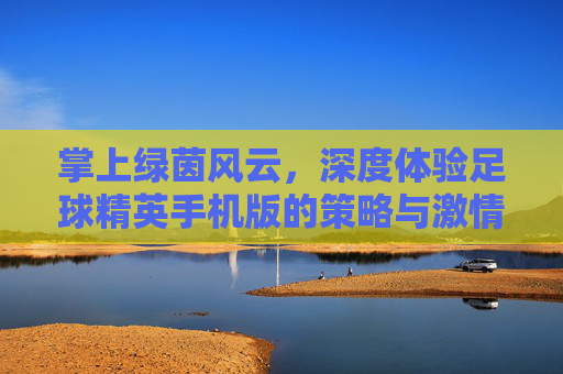 掌上绿茵风云，深度体验足球精英手机版的策略与激情