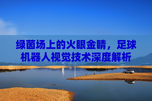 绿茵场上的火眼金睛，足球机器人视觉技术深度解析
