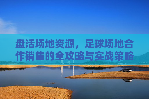 盘活场地资源,足球场地合作销售的全攻略与实战策略