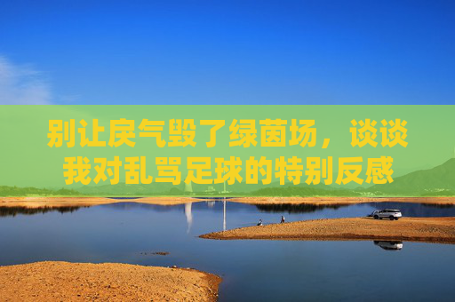 别让戾气毁了绿茵场，谈谈我对乱骂足球的特别反感
