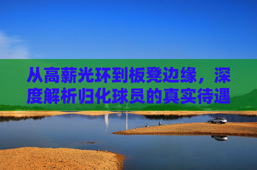 从高薪光环到板凳边缘，深度解析归化球员的真实待遇与现状