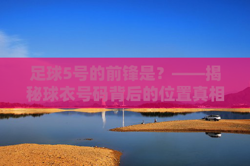 足球5号的前锋是？——揭秘球衣号码背后的位置真相