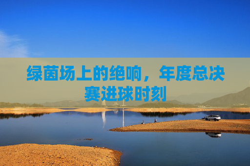 绿茵场上的绝响，年度总决赛进球时刻