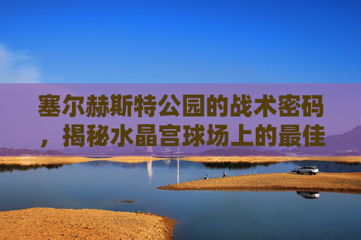 塞尔赫斯特公园的战术密码，揭秘水晶宫球场上的最佳进球位置
