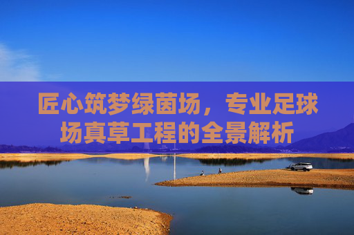 匠心筑梦绿茵场，专业足球场真草工程的全景解析