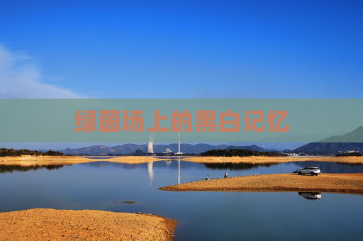绿茵场上的黑白记忆