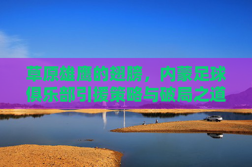 草原雄鹰的翅膀，内蒙足球俱乐部引援策略与破局之道