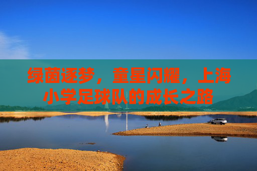 绿茵逐梦,童星闪耀,上海小学足球队的成长之路