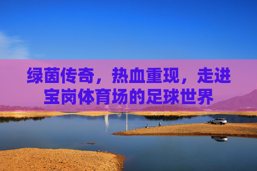 绿茵传奇,热血重现,走进宝岗体育场的足球世界