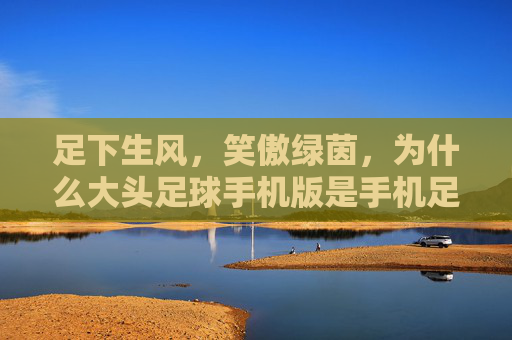 足下生风,笑傲绿茵,为什么大头足球手机版是手机足球游戏的巅峰之作?
