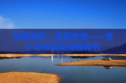 绿茵逐梦,强国有我——青少年校园足球推荐书