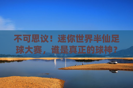 不可思议！迷你世界半仙足球大赛，谁是真正的球神？