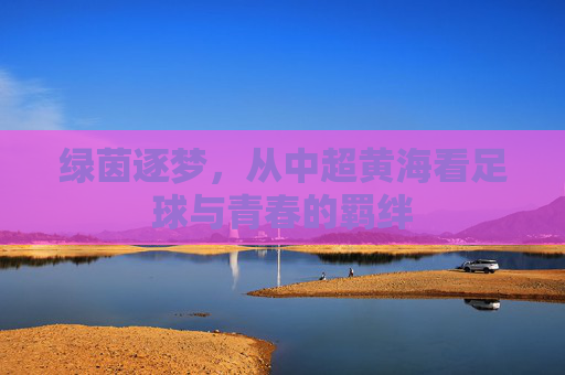 绿茵逐梦，从中超黄海看足球与青春的羁绊