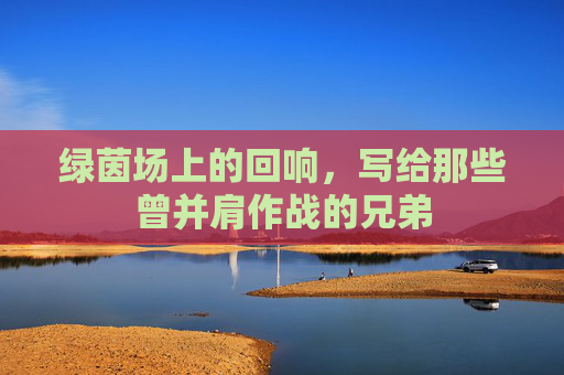 绿茵场上的回响，写给那些曾并肩作战的兄弟