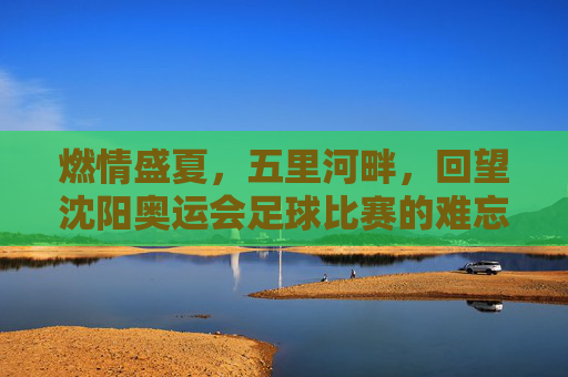 燃情盛夏,五里河畔,回望沈阳奥运会足球比赛的难忘记忆