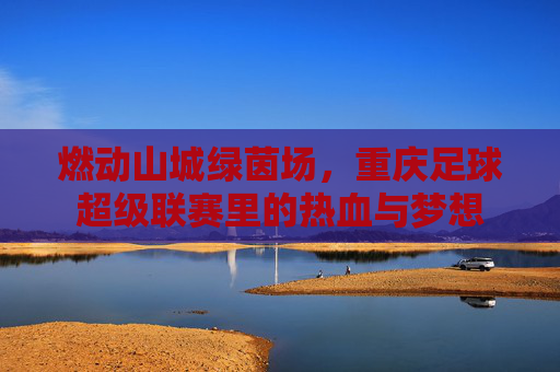 燃动山城绿茵场,重庆足球超级联赛里的热血与梦想