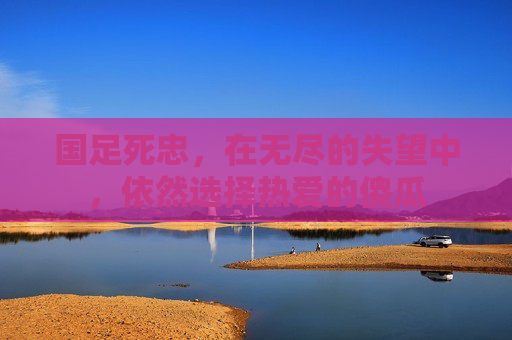 国足死忠,在无尽的失望中,依然选择热爱的傻瓜