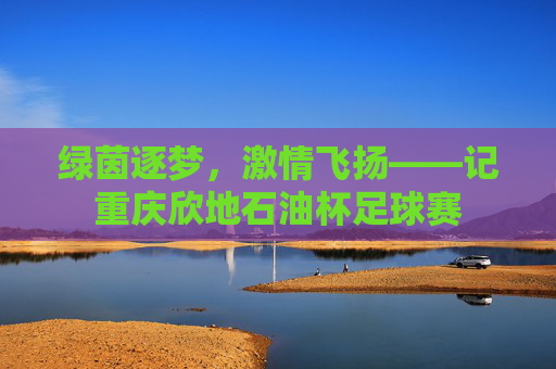 绿茵逐梦，激情飞扬——记重庆欣地石油杯足球赛