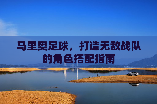 马里奥足球，打造无敌战队的角色搭配指南