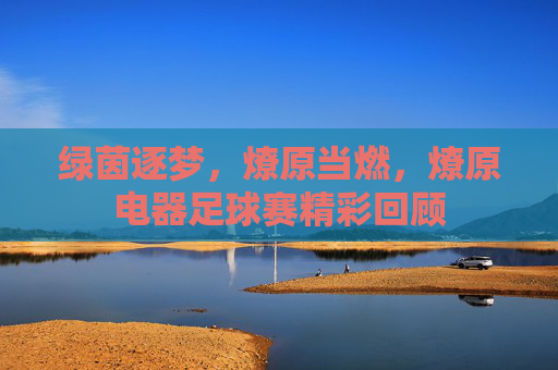 绿茵逐梦,燎原当燃,燎原电器足球赛精彩回顾