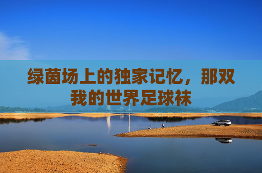 绿茵场上的独家记忆，那双我的世界足球袜