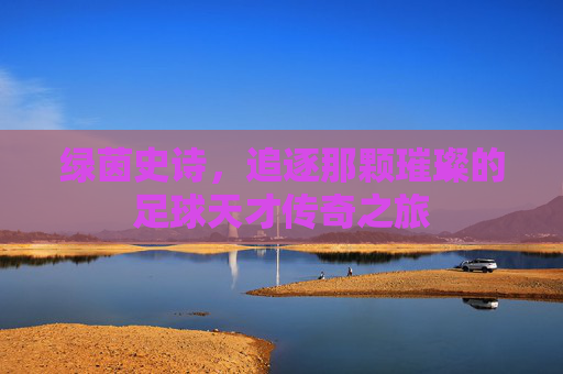 绿茵史诗，追逐那颗璀璨的足球天才传奇之旅