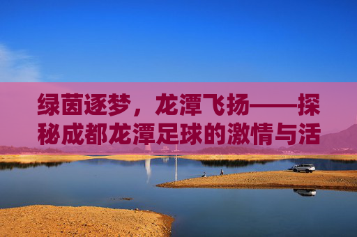 绿茵逐梦,龙潭飞扬——探秘成都龙潭足球的激情与活力