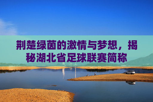 荆楚绿茵的激情与梦想，揭秘湖北省足球联赛简称