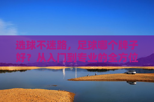 选球不迷路，足球哪个牌子好？从入门到专业的全方位选购指南