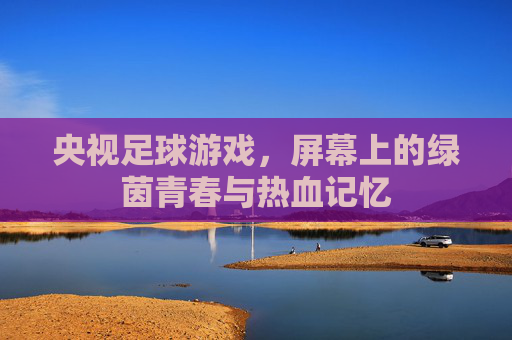 央视足球游戏，屏幕上的绿茵青春与热血记忆